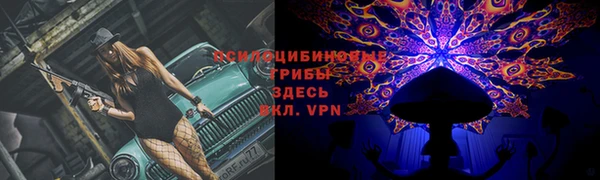 ГАЛЛЮЦИНОГЕННЫЕ ГРИБЫ Верея