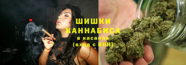 ГАЛЛЮЦИНОГЕННЫЕ ГРИБЫ Верея