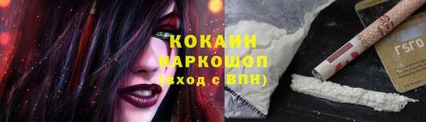 ГАЛЛЮЦИНОГЕННЫЕ ГРИБЫ Верея