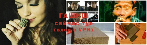 дживик Ельня