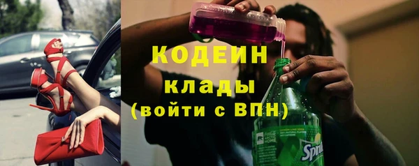 ГАЛЛЮЦИНОГЕННЫЕ ГРИБЫ Верея