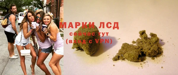 ГАЛЛЮЦИНОГЕННЫЕ ГРИБЫ Верея