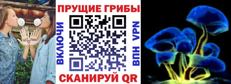 Псилоцибиновые грибы ЛСД  Дудинка 