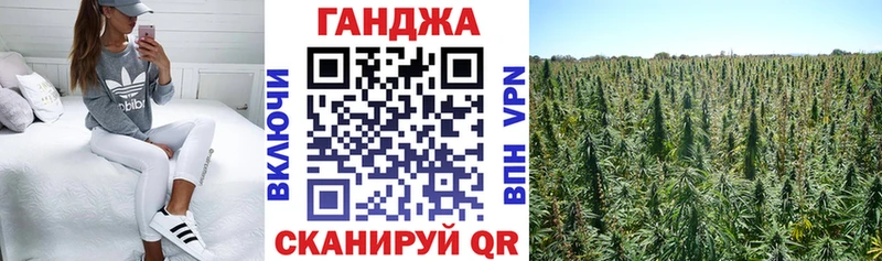 Канабис White Widow  где купить наркоту  Дудинка 